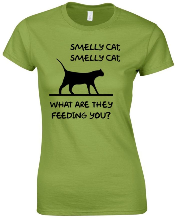 Smelly cat női póló