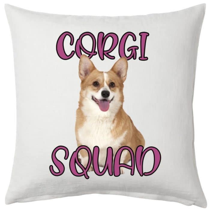 Corgi squad párna