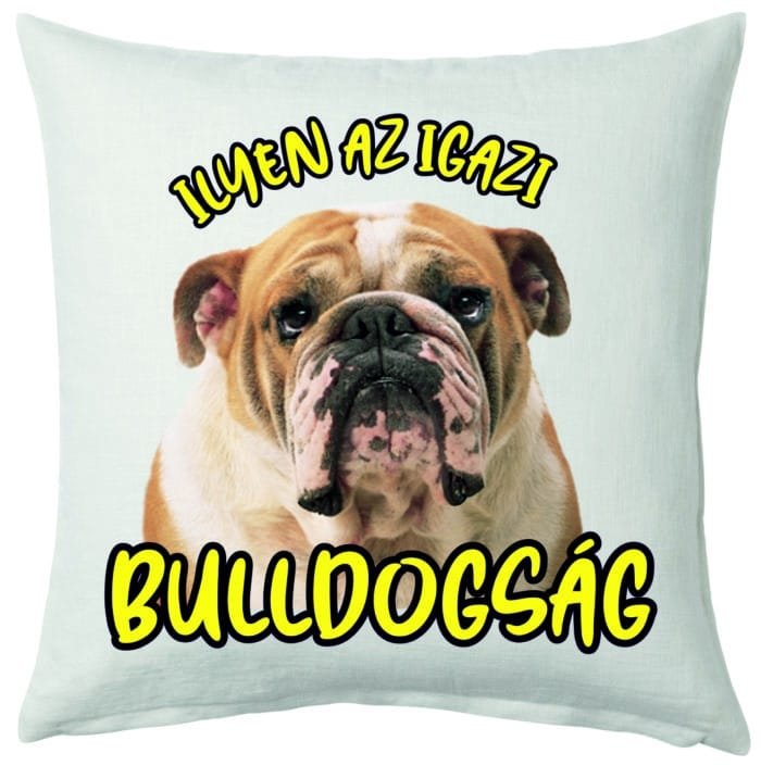 Ilyen az igazi bulldogság párna
