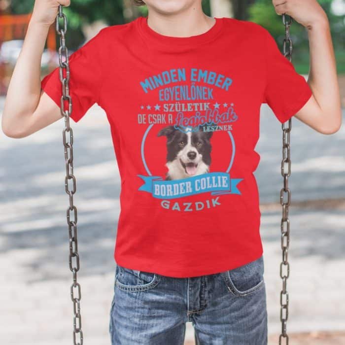 Minden ember egyenlőnek születik de csak a legjobbak lesznek border collie gazdik gyerek póló