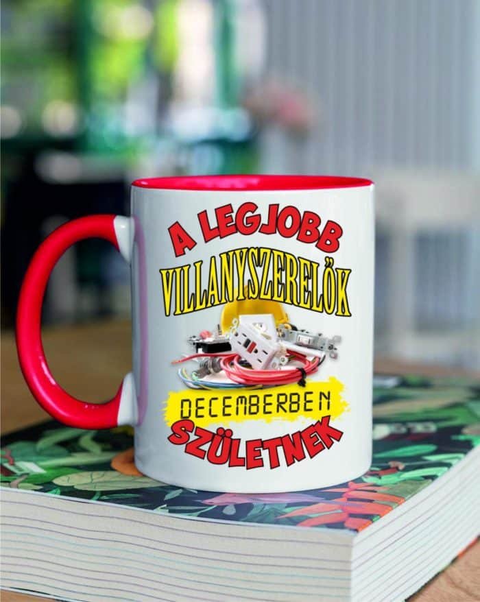 A legjobb villanyszerelők decemberben születnek bögre