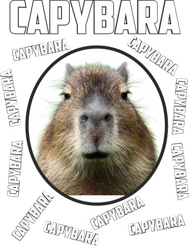 Capybara capybara gyerek póló