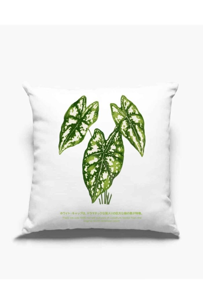 Caladium Argyrites zöld párna