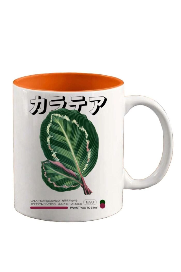 Japan Calathea roseopicta bögre